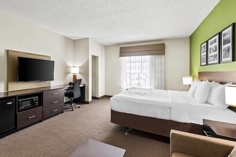 Suite, 1 King Bed with Sofa bed, Accessible, Non Smoking - Photo 4