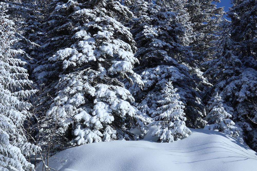 Studio 4 personnes Vue Montagne