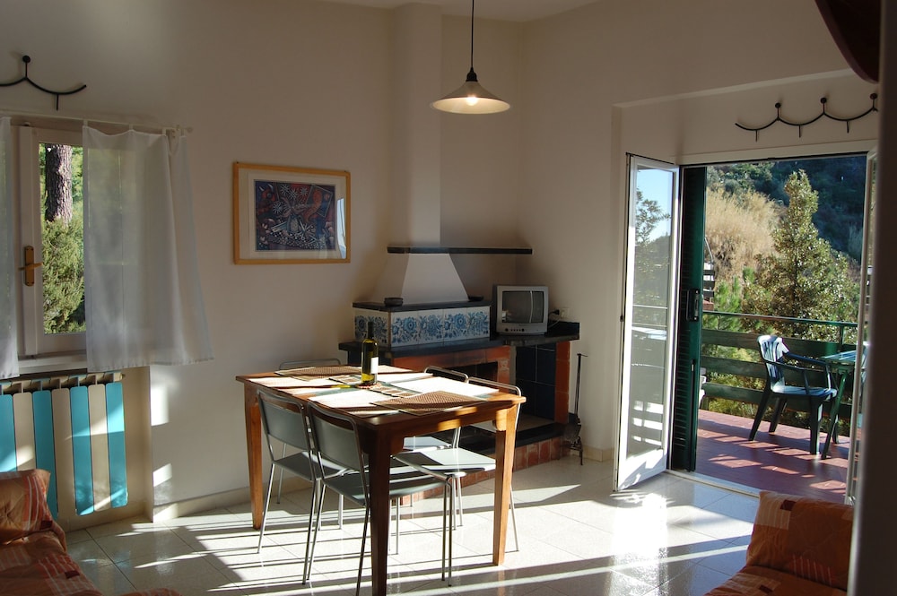 Basic Apartment photo 1