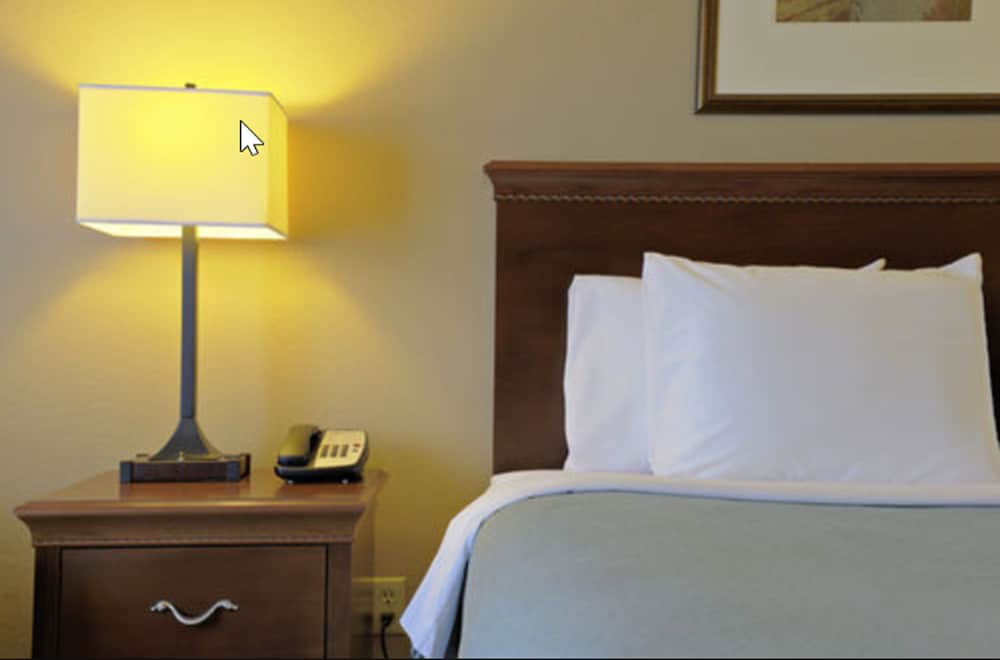 Suite, 1 Bedroom, Non Smoking - Photo 10