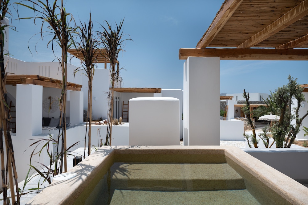Junior Suite with plunge pool - Photo 14