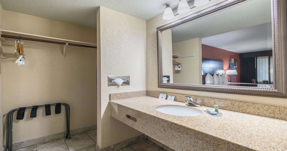 Deluxe Room, 1 King Bed, Non Smoking, Refrigerator & Microwave - Photo 7