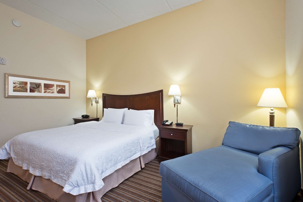 Room, 1 King Bed, Accessible, Non Smoking (Mobility & Hearing, Roll-in Shower) - Photo 3