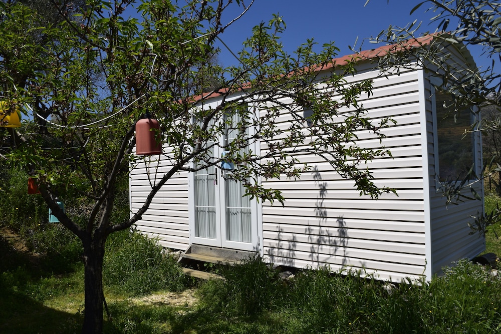 Luxury Cabin photo 2