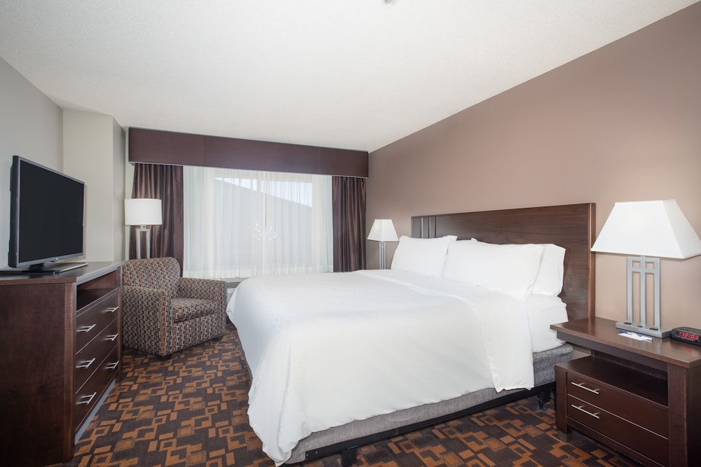 Suite, 1 King Bed with Sofa bed, Accessible (Communications, Mobility, Access Tub) - Photo 1