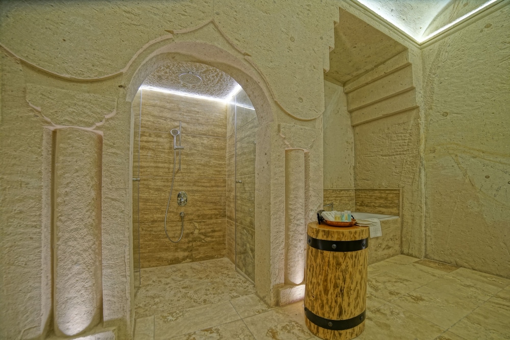 Deluxe Suite - Photo 9