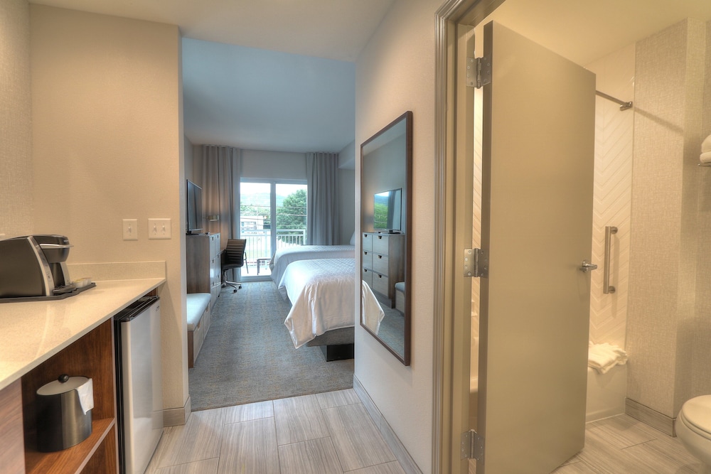 Suite, 1 Bedroom, Balcony (Parkway View) - Photo 4
