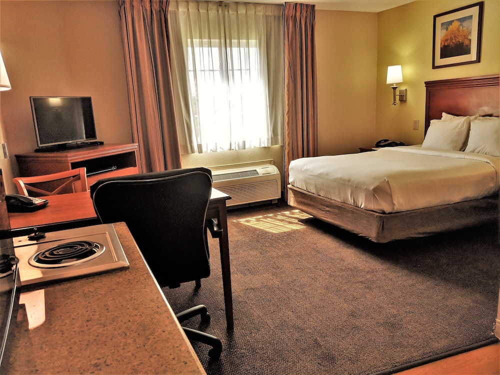 Studio Suite, 1 Queen Bed, Accessible (Mobility, Accessible Tub) - Photo 3