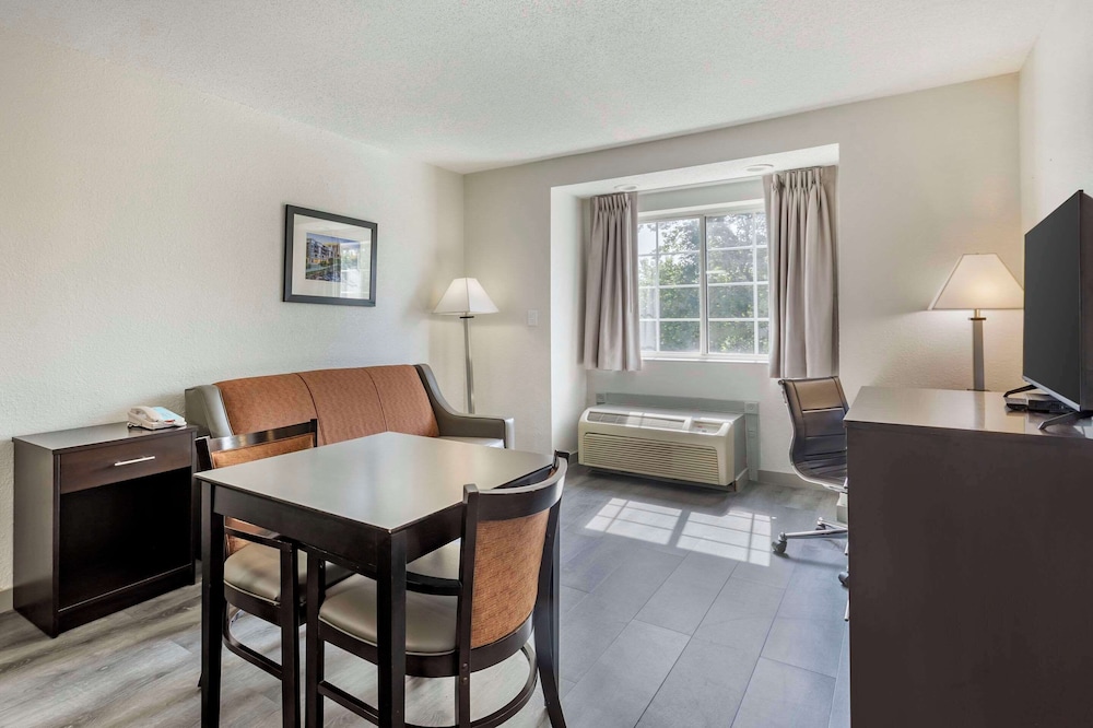 Suite, 1 King Bed With Sofa Bed, Non Smoking