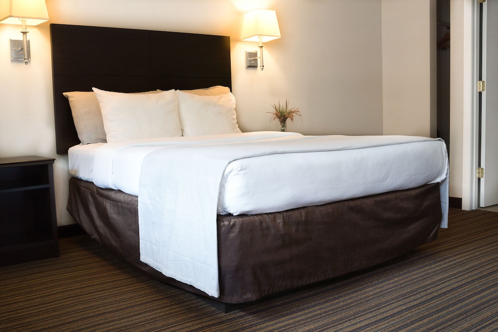 Signature Single Room, 1 King Bed - Photo 3
