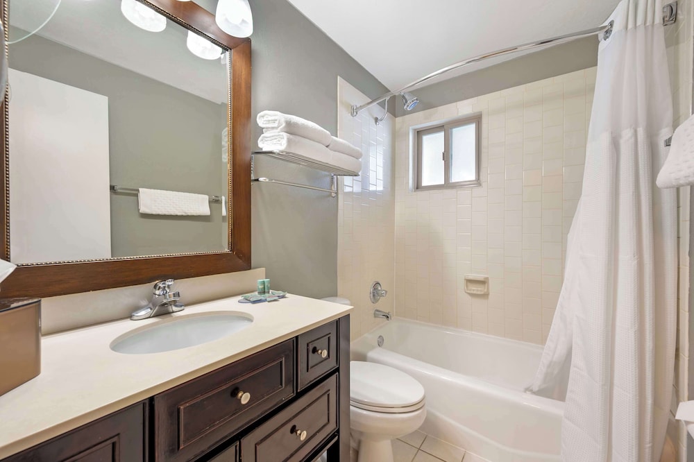 Standard Room, 1 King Bed, Non Smoking, Refrigerator (Pet Friendly) photo 2