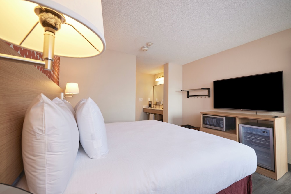 Room, 1 King Bed, Accessible photo 3