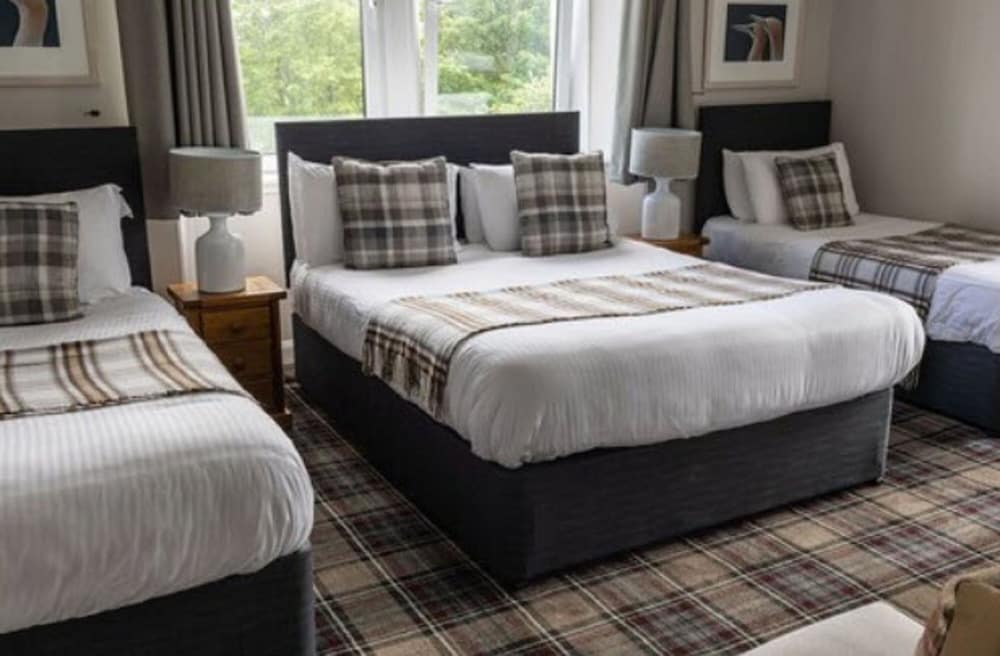 Standard Quadruple Room, Multiple Beds, Non Smoking, Ensuite photo 1