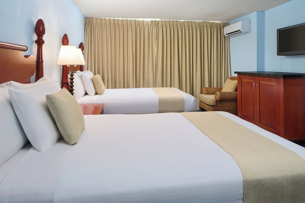 Room (Moderate, Roll-In Shower)