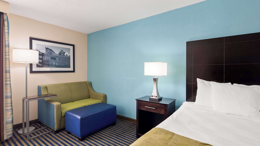Standard Room, 1 King Bed, Non Smoking, Refrigerator & Microwave (with Single Sofabed) - Photo 3