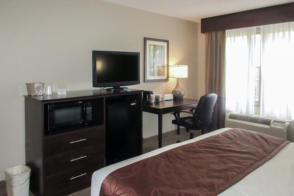 Standard Room, 1 King Bed, Non Smoking (Pet Friendly) photo 2
