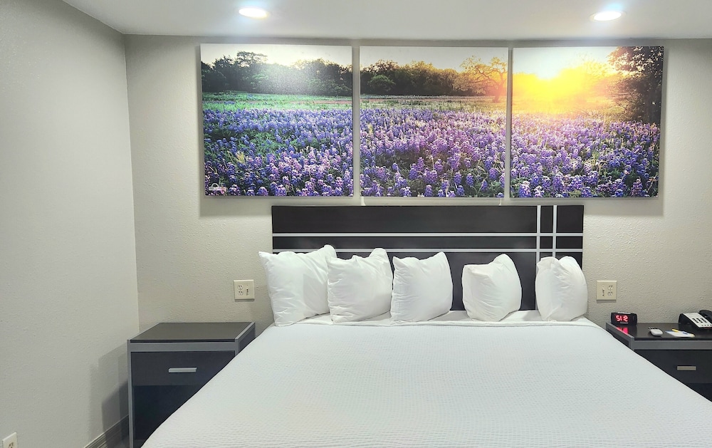 Suite, 1 King Bed, Non Smoking (One-Bedroom) - Photo 2