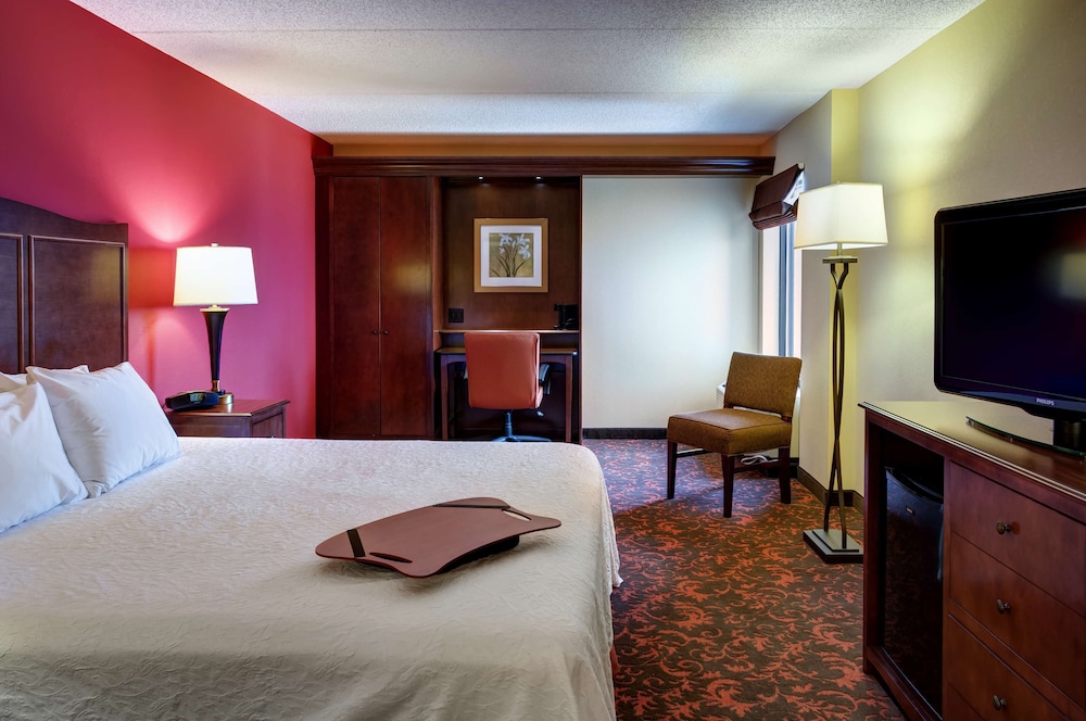 Room, 1 King Bed, Accessible (Roll-In Shower) - Photo 1