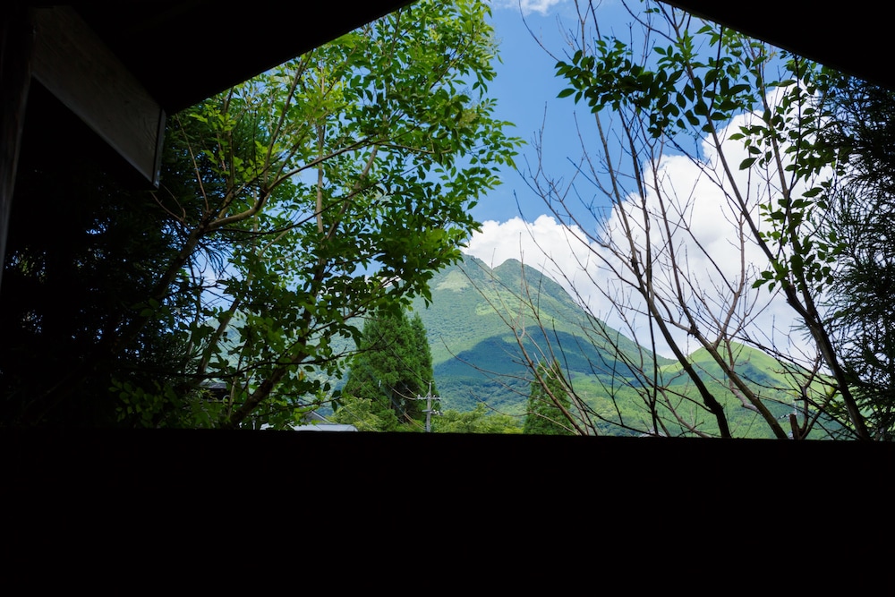 Annex Deluxe Japanese Room With Open - Air Bathroom photo 2