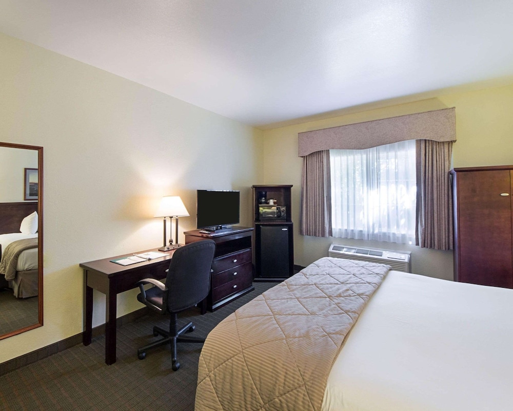 Standard Room, 1 King Bed, Non Smoking - Photo 2