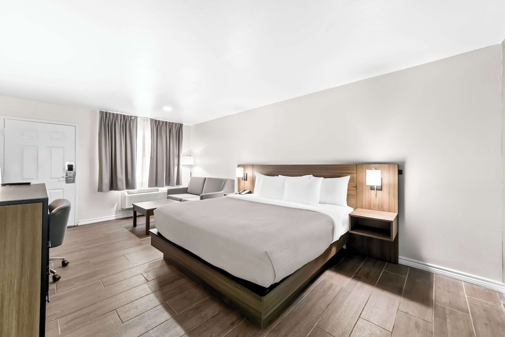 Standard Room, 1 King Bed with Sofa bed, Non Smoking - Photo 4