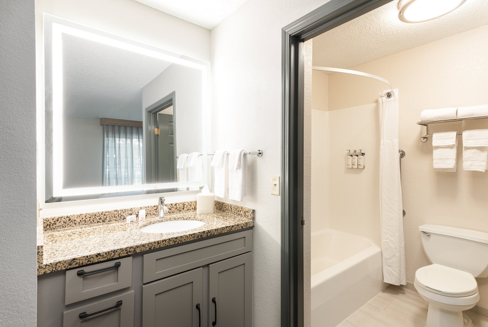 Studio Suite - Photo 4
