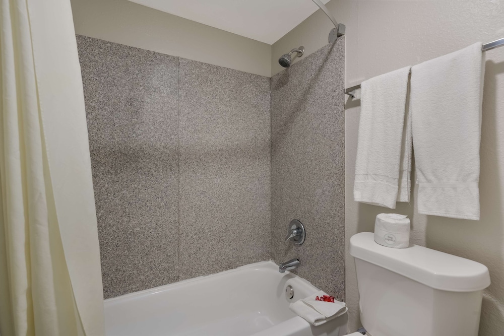 Standard Room, 1 King Bed, Accessible, Refrigerator & Microwave photo 3