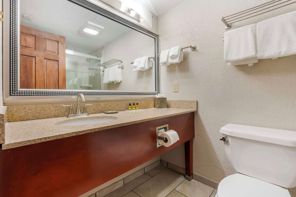 Standard Room, 1 King Bed, Refrigerator & Microwave, Pool View - Photo 5