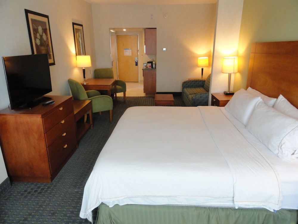 Suite, 1 King Bed - Photo 4