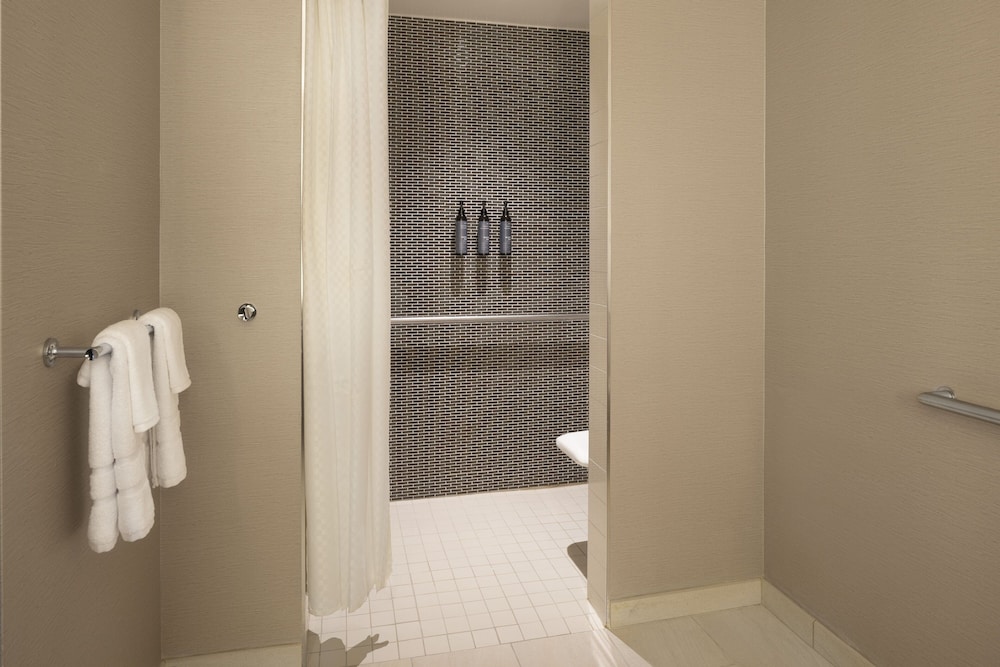 Room, 1 King Bed, Park View (Mobility Accessible, Roll-in Shower) - Photo 10