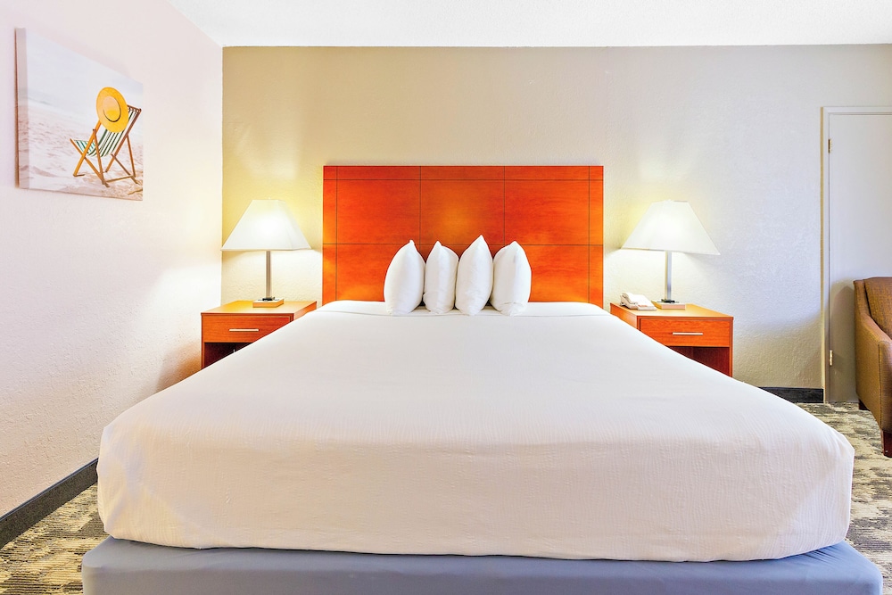 Deluxe Single Room photo 3