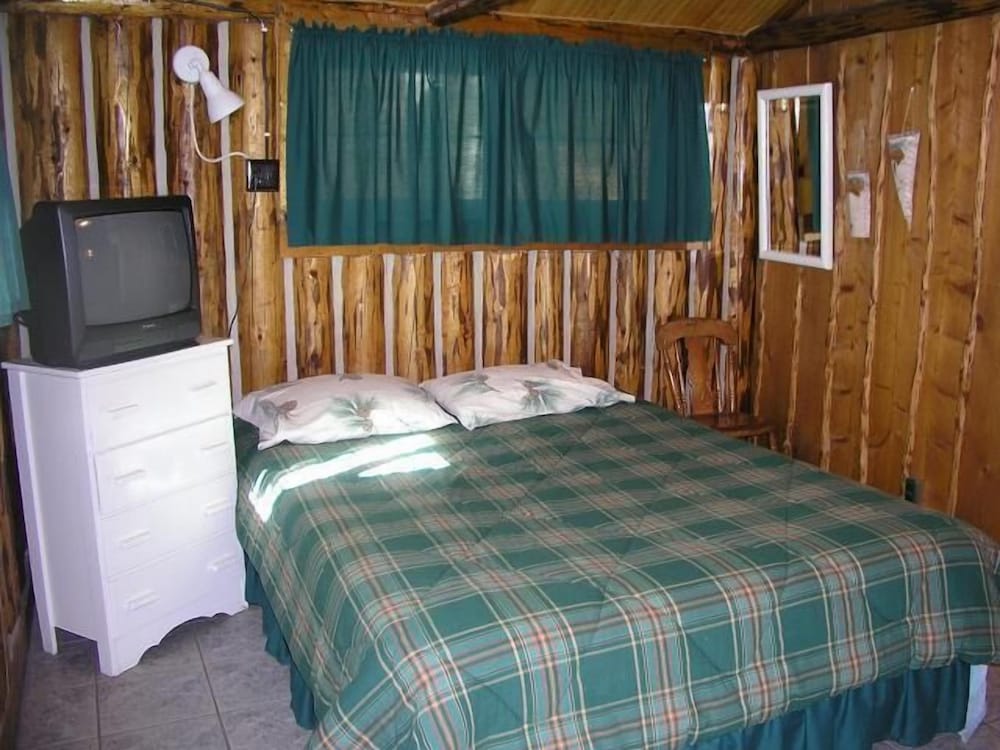 # 6, Pine, 1 Bed photo 3