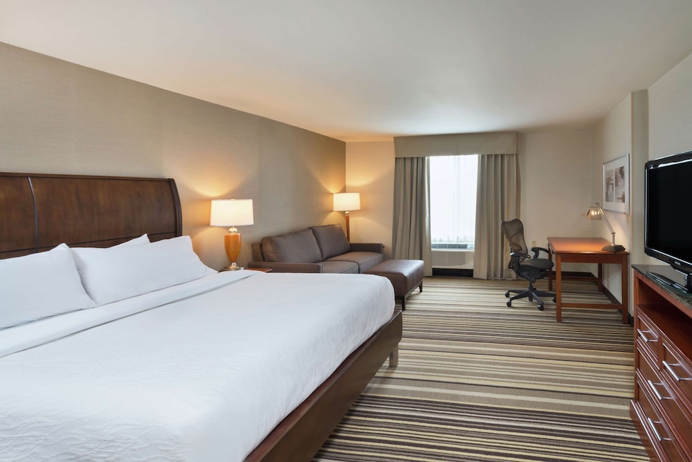Suite, 1 Bedroom photo 1