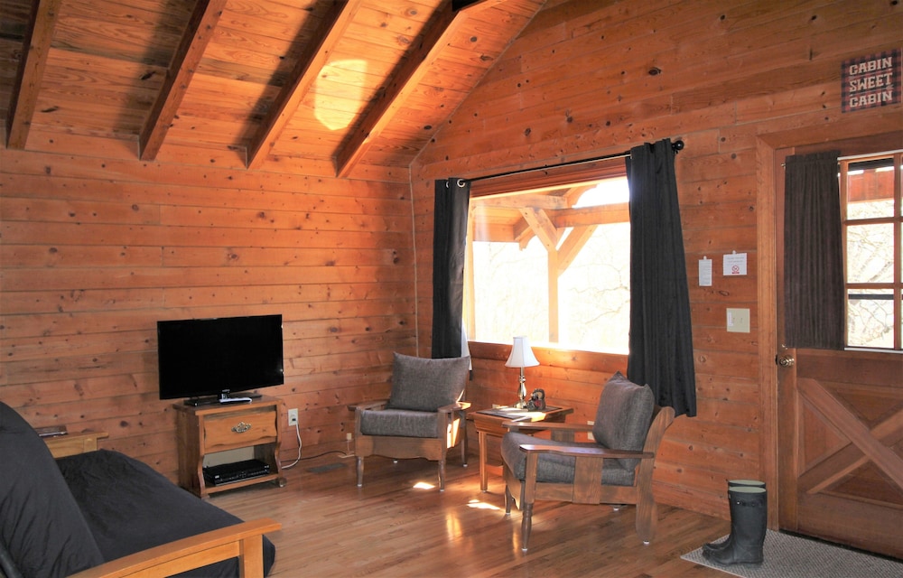 Deluxe Cabin, 1 Bedroom, Kitchenette, Lake View photo 3