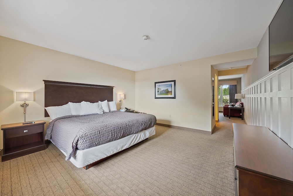 Standard Suite, 1 King Bed with Sofa bed - Photo 1