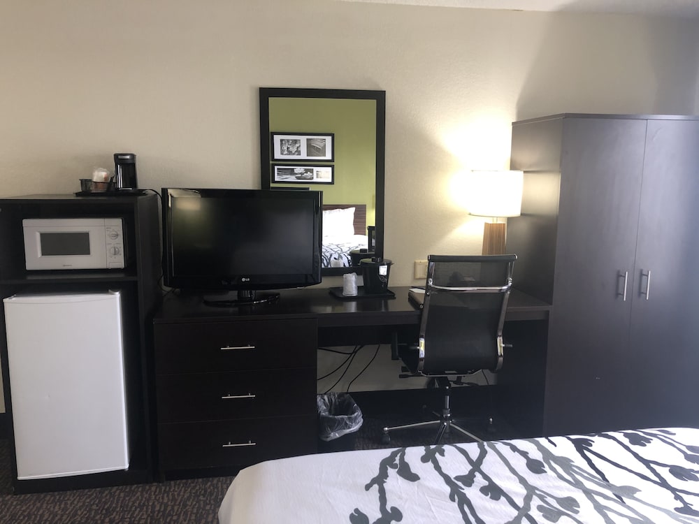 Standard Room, 1 King Bed, Non Smoking, Refrigerator & Microwave - Photo 8