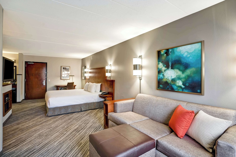 Room, 1 King Bed, Accessible photo 3
