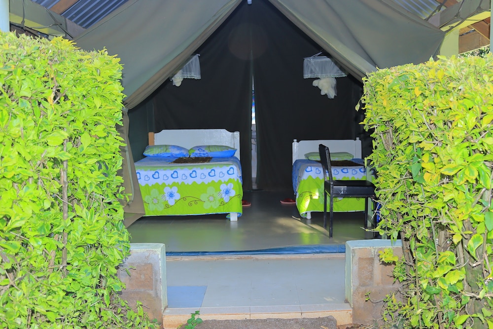 Deluxe Double or Twin Room, 2 Twin Beds, Balcony, Park View photo 2