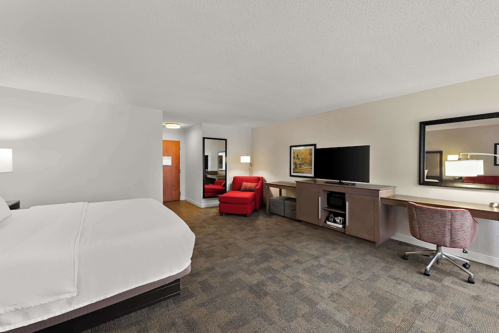 Suite, 1 King Bed, Non Smoking photo 2