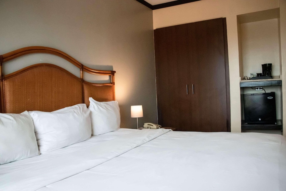 Premium Room, 1 King Bed, Non Smoking - Photo 8