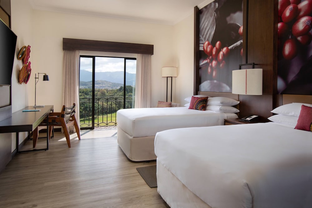 Executive Room, 2 Double Beds
