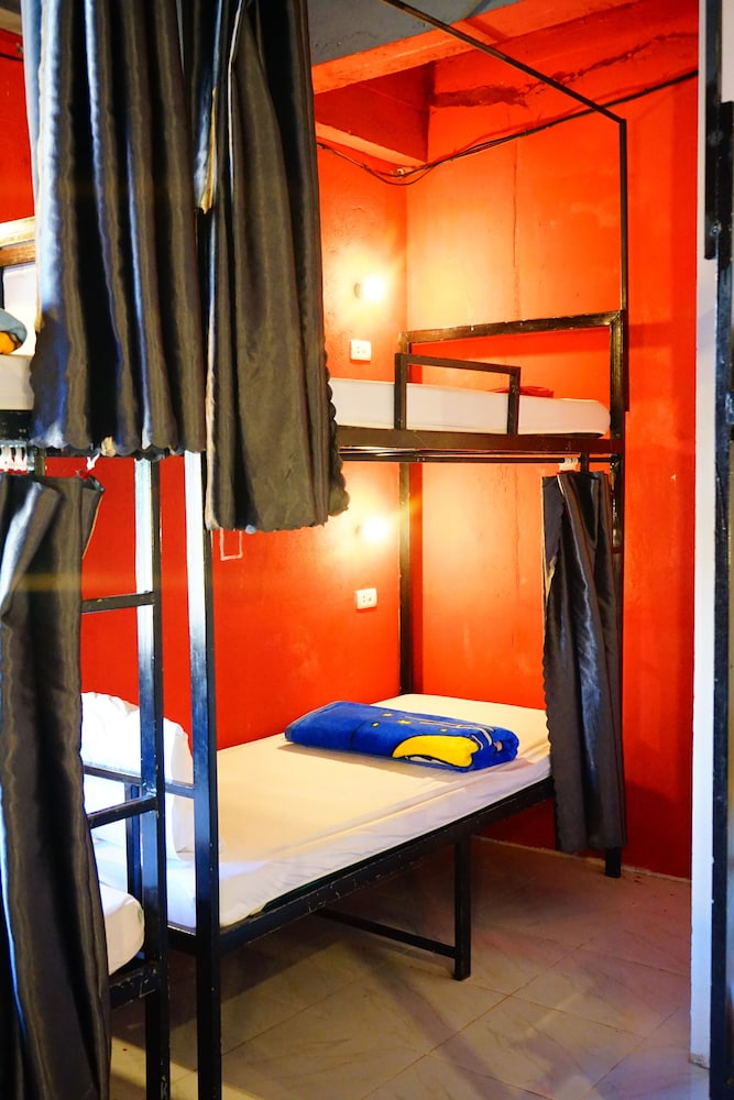 Standard Shared Dormitory photo 1