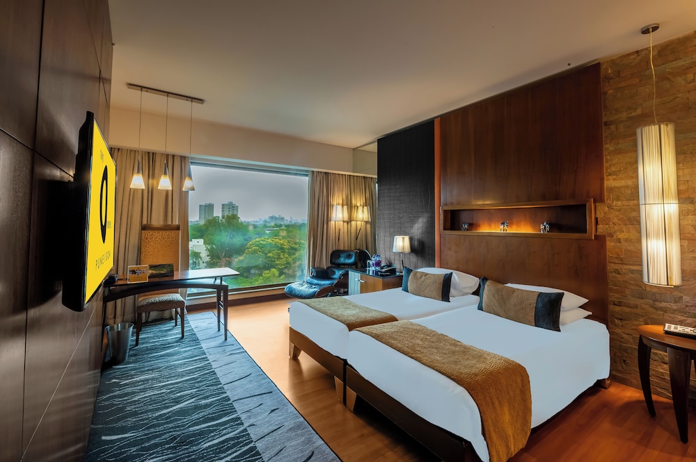 Deluxe Room - Photo 9