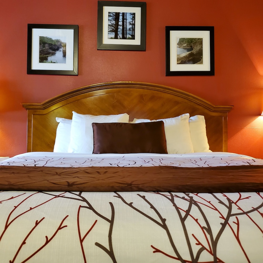 Basic Room, 1 Queen Bed photo 1