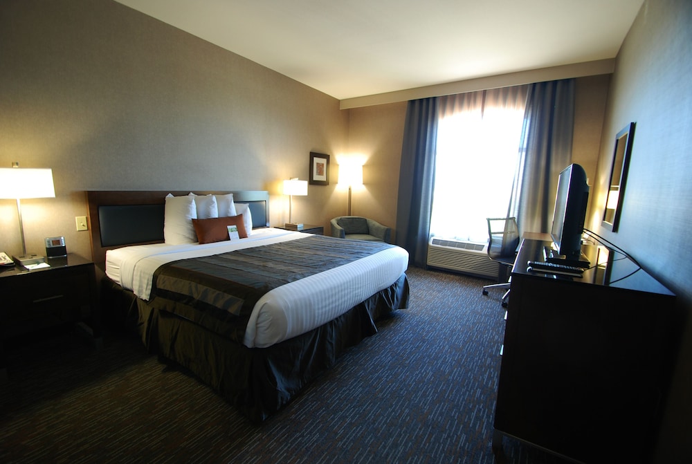 Room, 1 King Bed with Sofa bed, Non Smoking photo 2