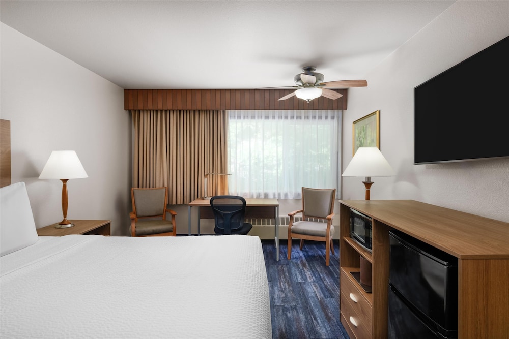 Standard Room, 1 Queen Bed, Non Smoking, Refrigerator & Microwave