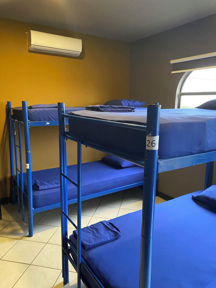 Bed in 4-Bed Female Dormitory Room photo 2