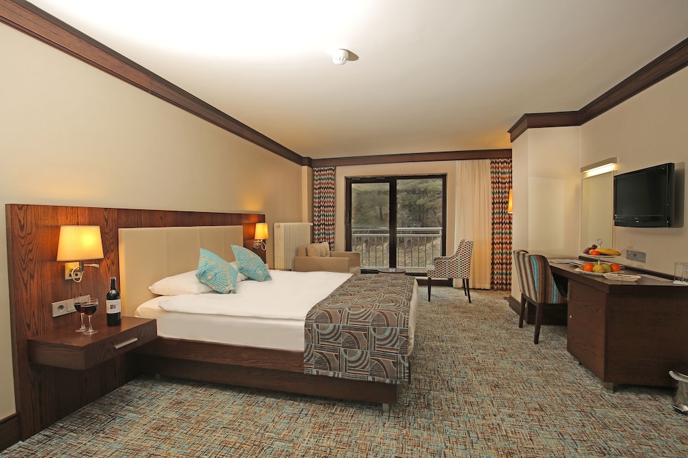 Standard Double or Twin Room, Forest View