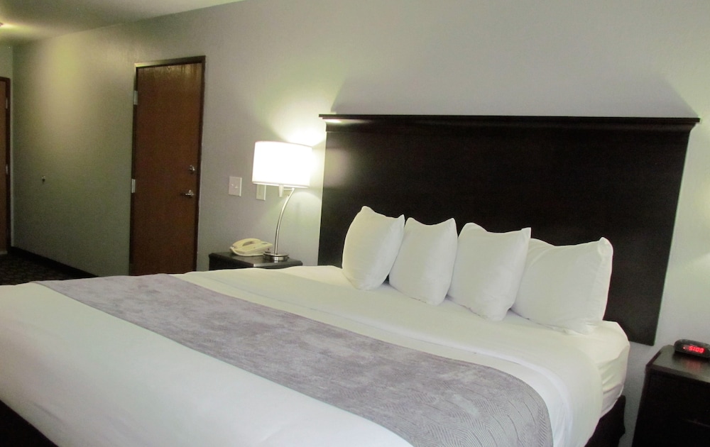 Executive Room, 1 King Bed, Non Smoking, Refrigerator & Microwave photo 3