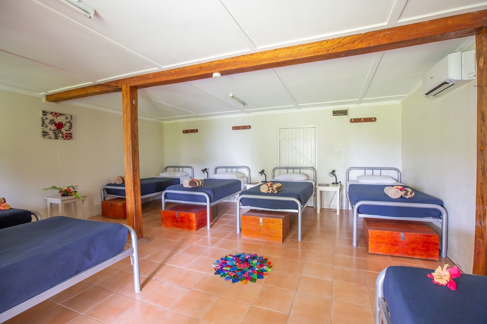 Basic Shared Dormitory, Mixed Dorm (Bed in 14-Beds Mixed Dorm)